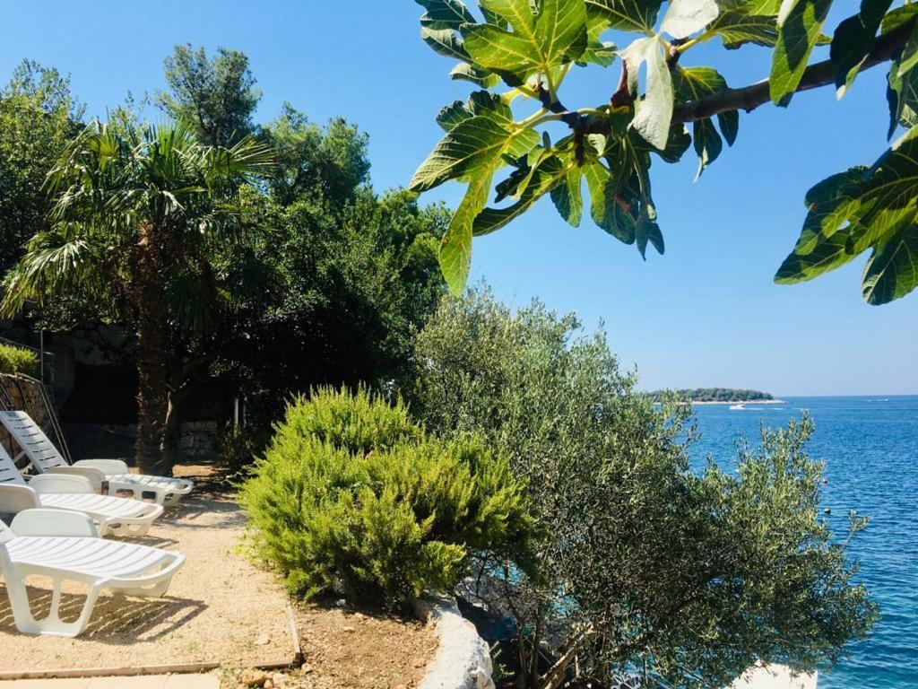 Appartamento Premium Oaza Primošten Esterno foto